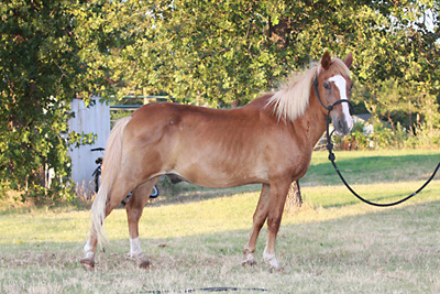 Big Man, June 2009