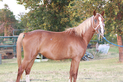 Big Red, June 2009