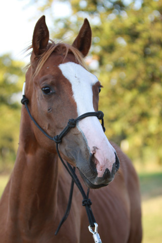 Candyman, June 2009