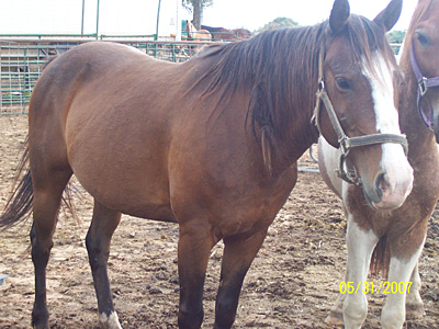 Carmen, May 2007