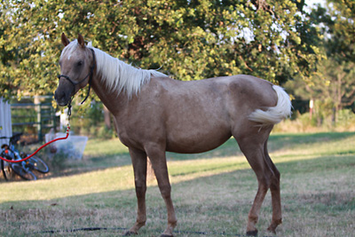 Glory, June, 2009