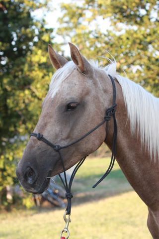 Glory, June 2009