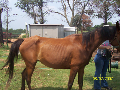 Gracy, August 2007