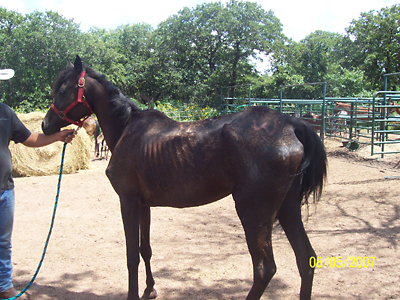 Haley, August 2007