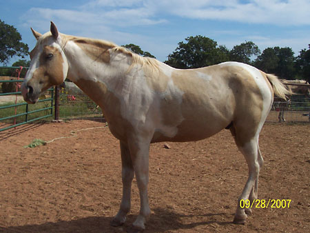 Captain Jack, September 2007