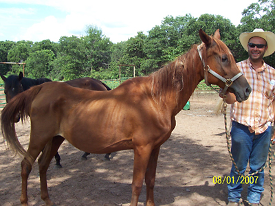 Jasmine, August 2007