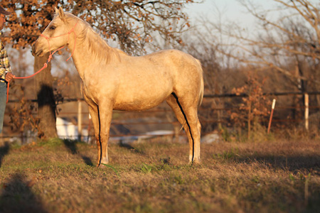 Juicyfruit, Nov 2009