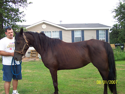 Layla, August 2007