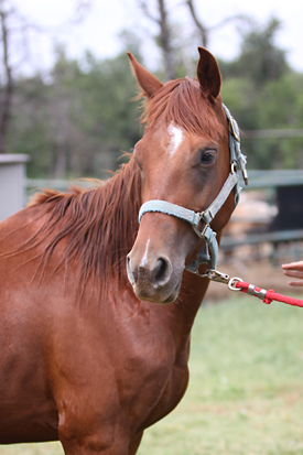 Layne, June 2009