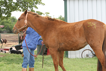 Levi, May 2009