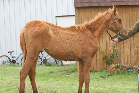 Nikki, May 2009