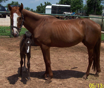 Piper and Stormy