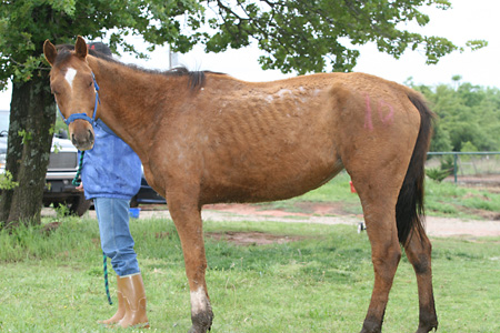 Pretty Girl, May 2009