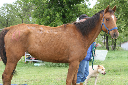 Pretty Girl, May 2009