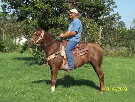 Pretty Girl, Aug 2009