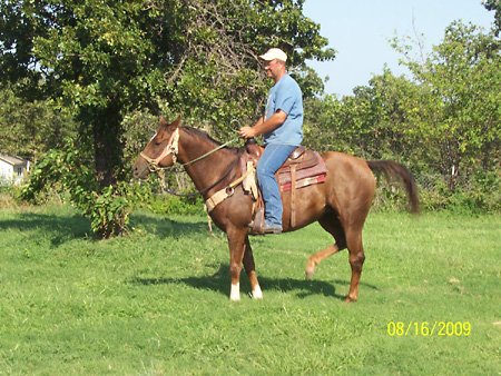 Pretty Girl, Aug 2009