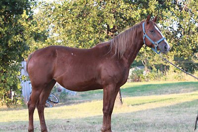 Sissy, June 2009