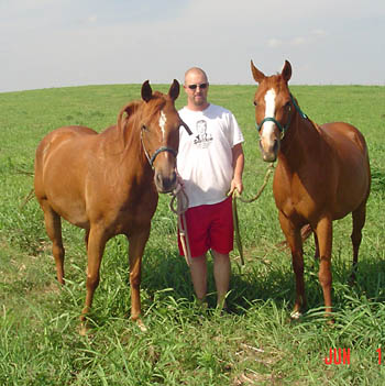 Mandy and Sunrise, 2008