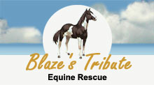 Blaze's Tribute Equine Rescue