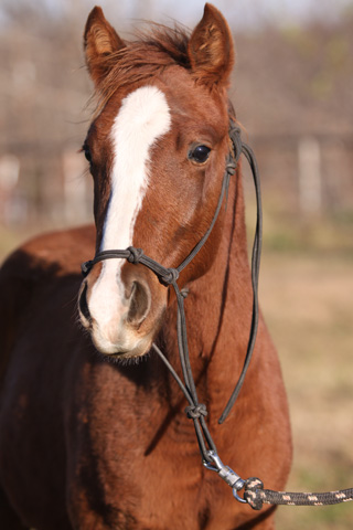 Timmy, Nov 2009