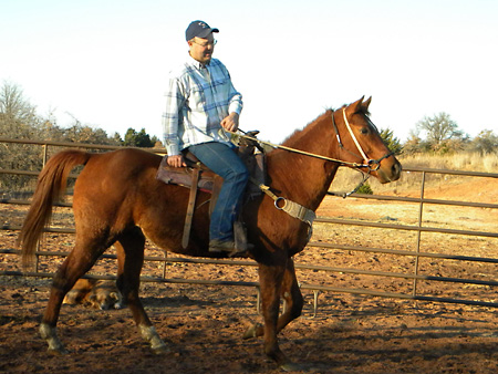 Uno, Jan 2010