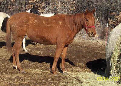 Bambi, Feb 2007