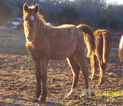 McDreamy, Feb 2007